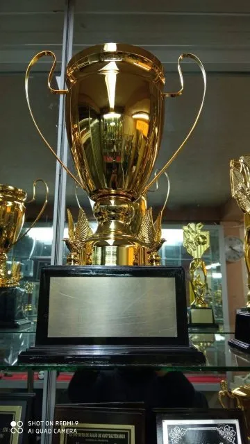 Trofeos deportivos 16